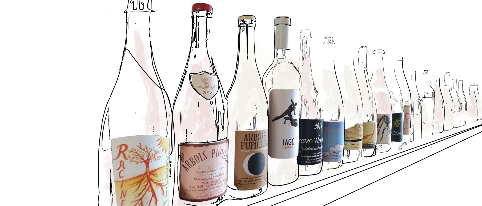 Curated Vintages From Artisan Vineyards